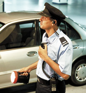 radios para servicios seguridad privada